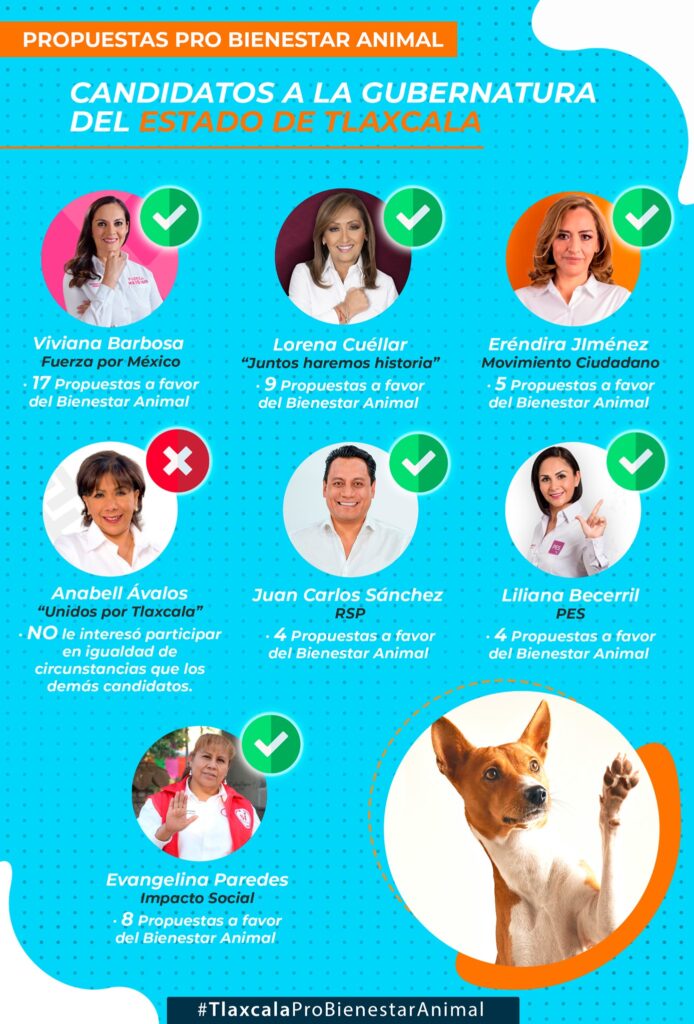 Candidatos con interés en el bienestar animal en Tlaxcala