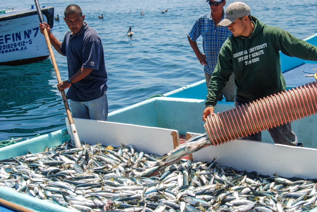 Imparten curso sobre pesquería sustentable de la sardina 