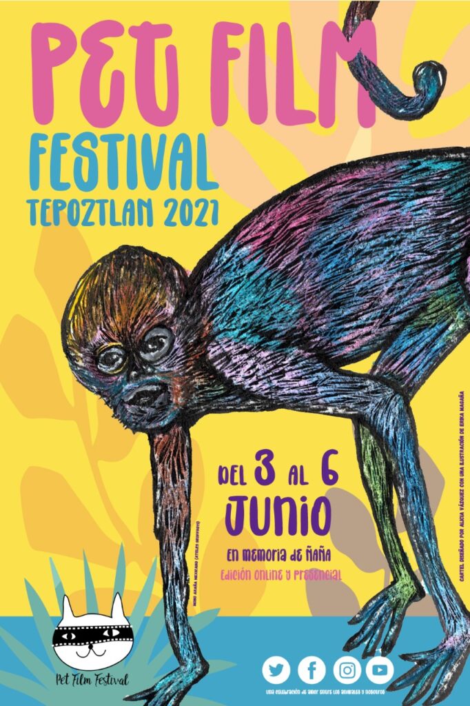 Todo listo el Pet Film Festival Tepoztlán 2021