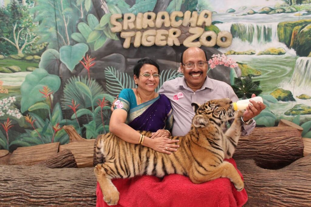 Famoso zoológico de tigres tailandeses cierra 