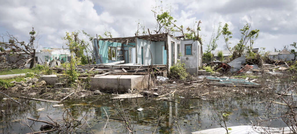 Entra en vigor Nueva Ley de Cambio Climático 