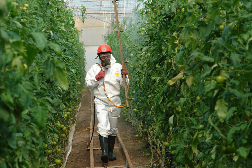 Declaran 1 de julio Día Nacional de la Sanidad Vegetal