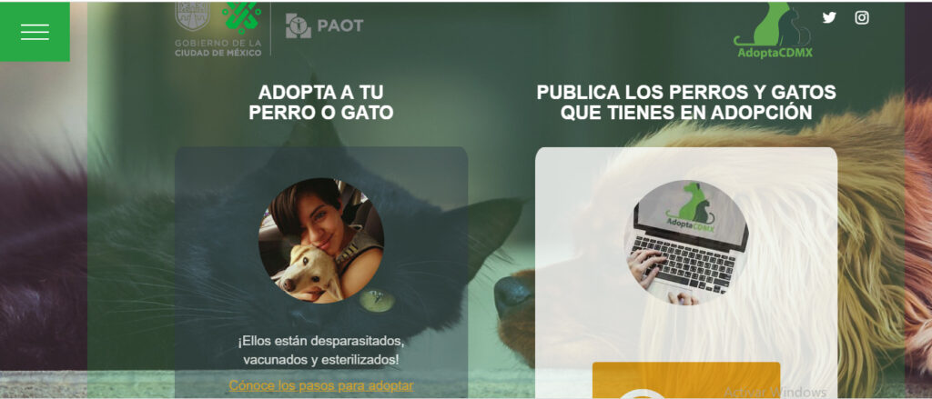 Plataforma AdoptaCDMX:  mejor vida a perros y gatos