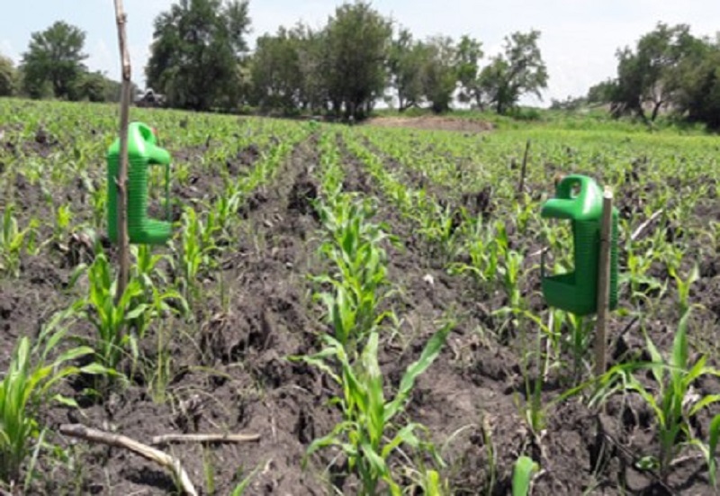 Proponen investigadores  manejo agroecológico de plagas  