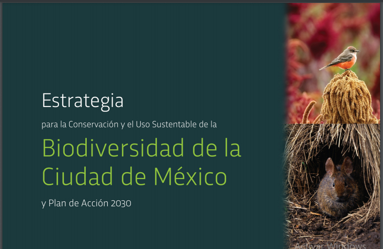 Presentan Estrategia para Conservar Biodiversidad 