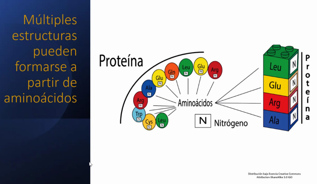 Simulan pliegue de proteínas para curar enfermedades 