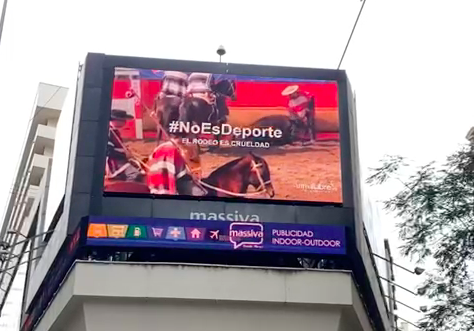 #NoEsDeporte: campaña contra el rodeo en Chile