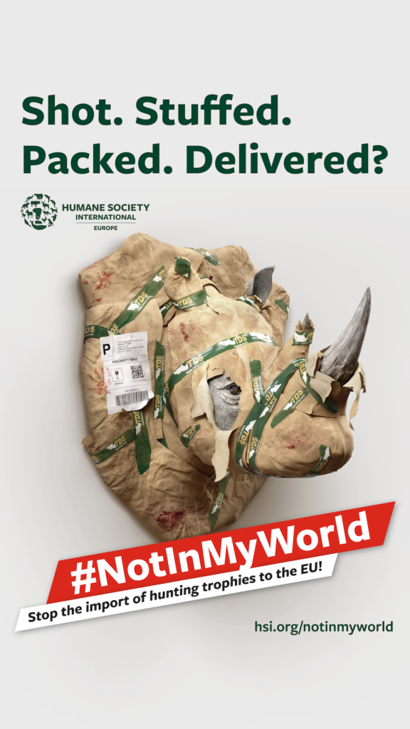 Campaña #NotInMyWorld para prohibir trofeos de caza