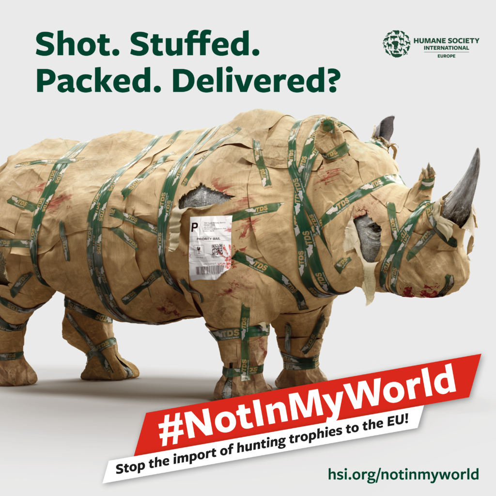 Campaña #NotInMyWorld para prohibir trofeos de caza