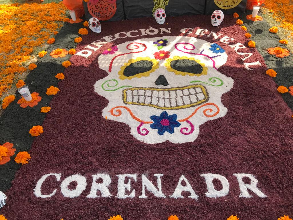 Celebran Día de Muertos en Suelo de Conservación