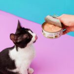 Miauu Alimento Gourmet para gato