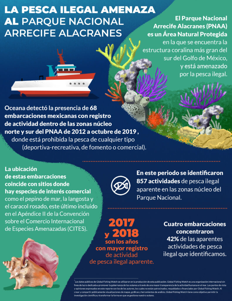 Urge mayor protección del Arrecife Alacranes: Oceana
