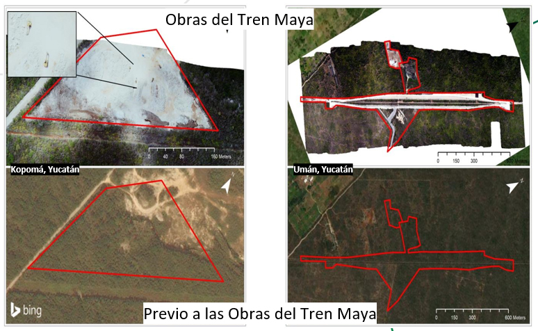 Exhiben violaciones a DH en los litigios del Tren Maya 