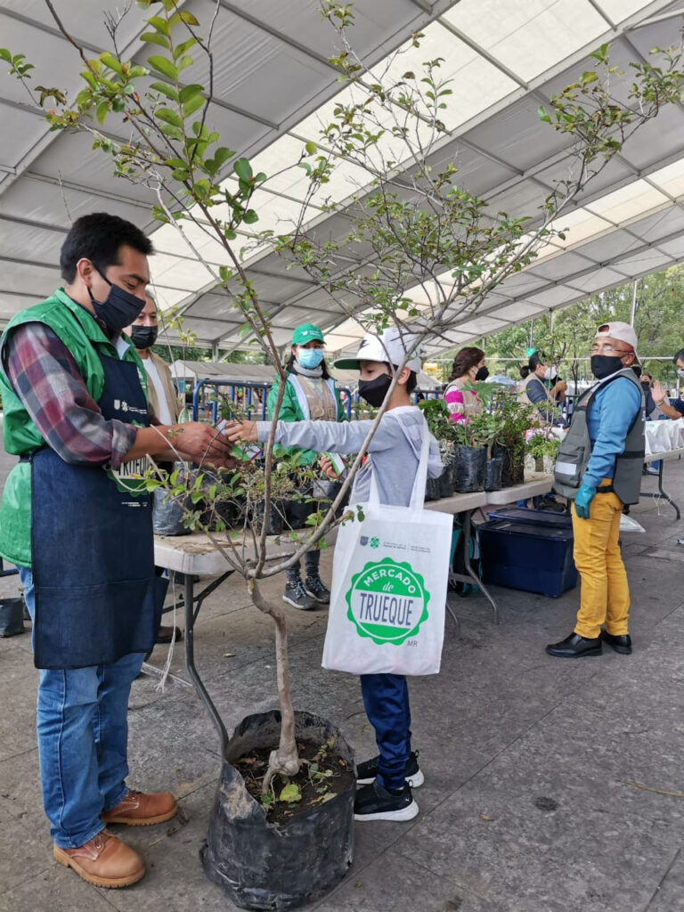 Habrá despensas: plantas y libros en mercado de trueque 