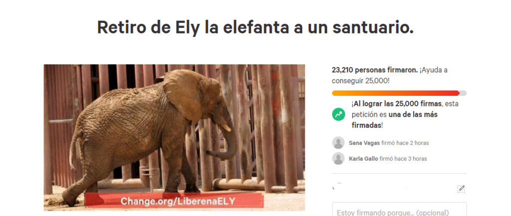 23 mil firmas para trasladar a elefante Ely a un santuario