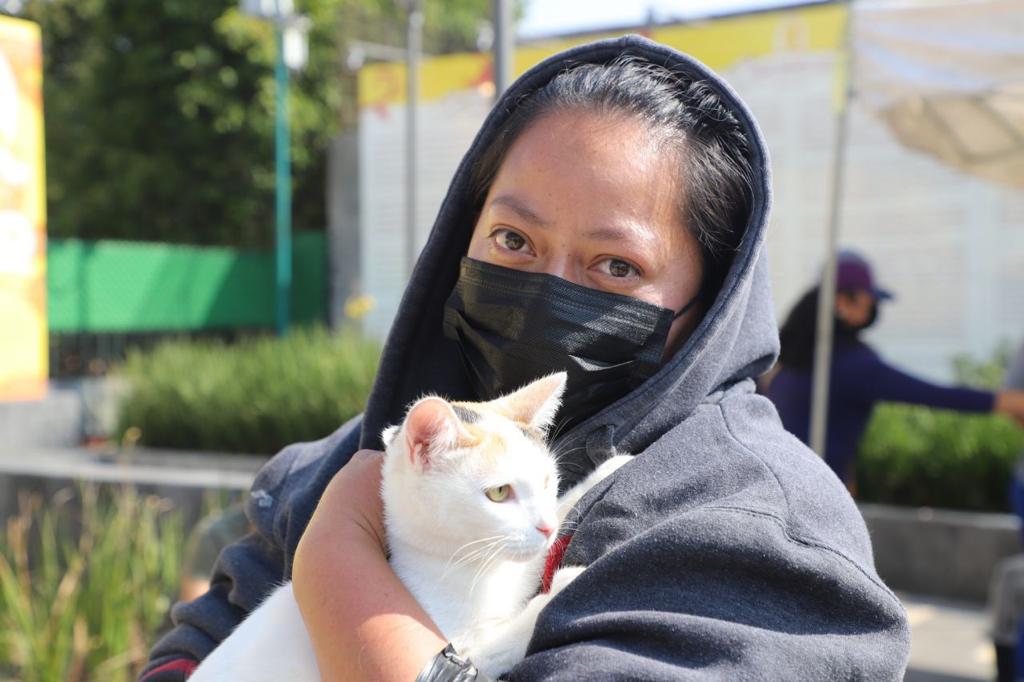 Tlalpan entrega en adopción 16 perros y gatos