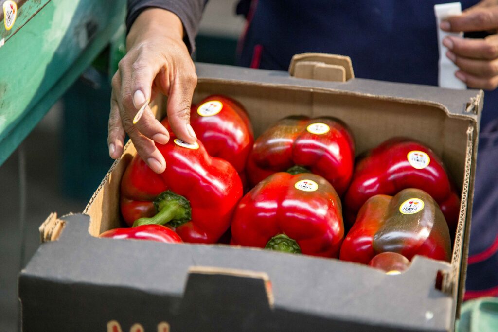 Se consolida México como potencia agroexportadora