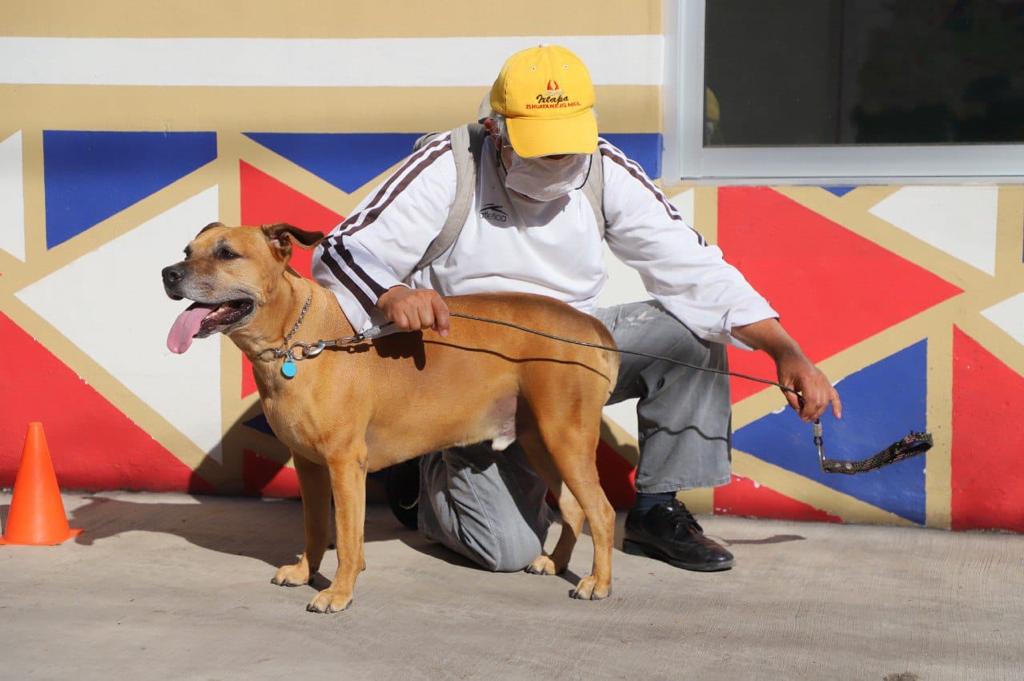 Arrancó Taller de Rehabilitación para Perros 