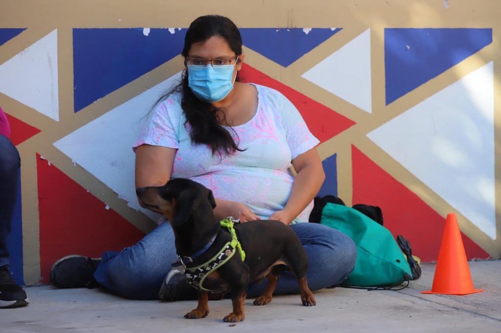 Arrancó Taller de Rehabilitación para Perros 