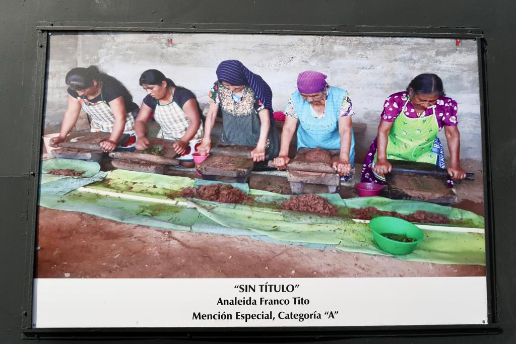 Premian a ganadores de Concurso Nacional de Fotografía - Prensa Animal
