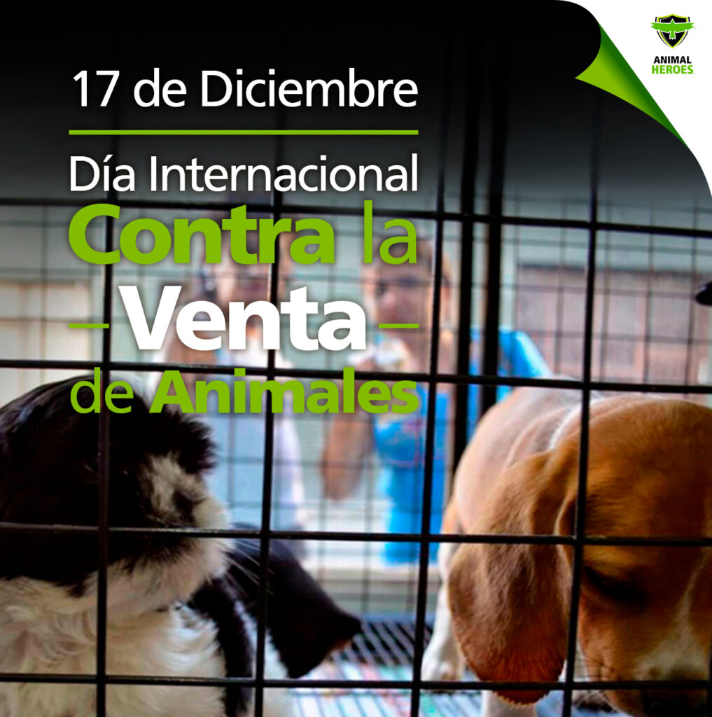 Día Internacional Contra la Venta de Animales