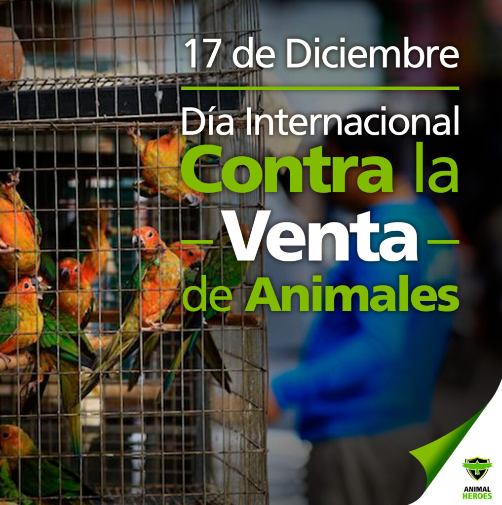 Día Internacional Contra la Venta de Animales