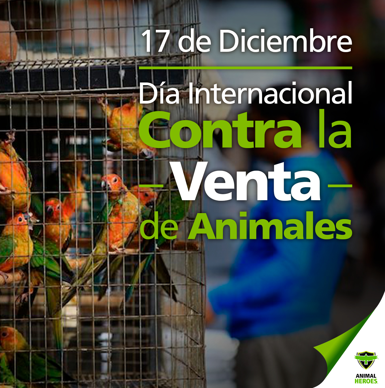 Día Internacional Contra La Venta De Animales Prensa Animal