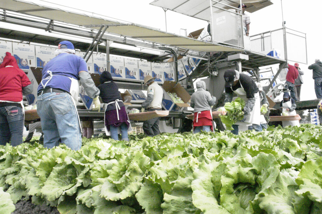 Publican Reglas de Operación Agroalimentaria 