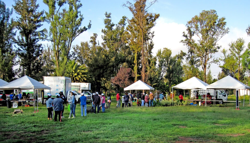 Reúnen al Mercado de Trueque y al Reciclatrón 