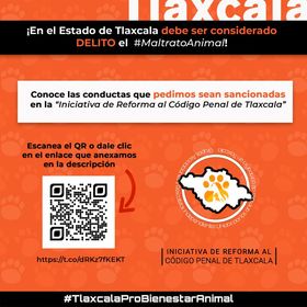 Denuncian que Tlaxcala viola Ley de Protección Animal 