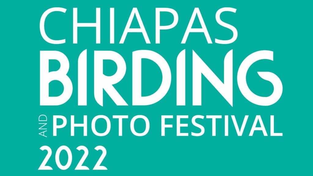 Chiapas Birding 2022 abre convocatoria