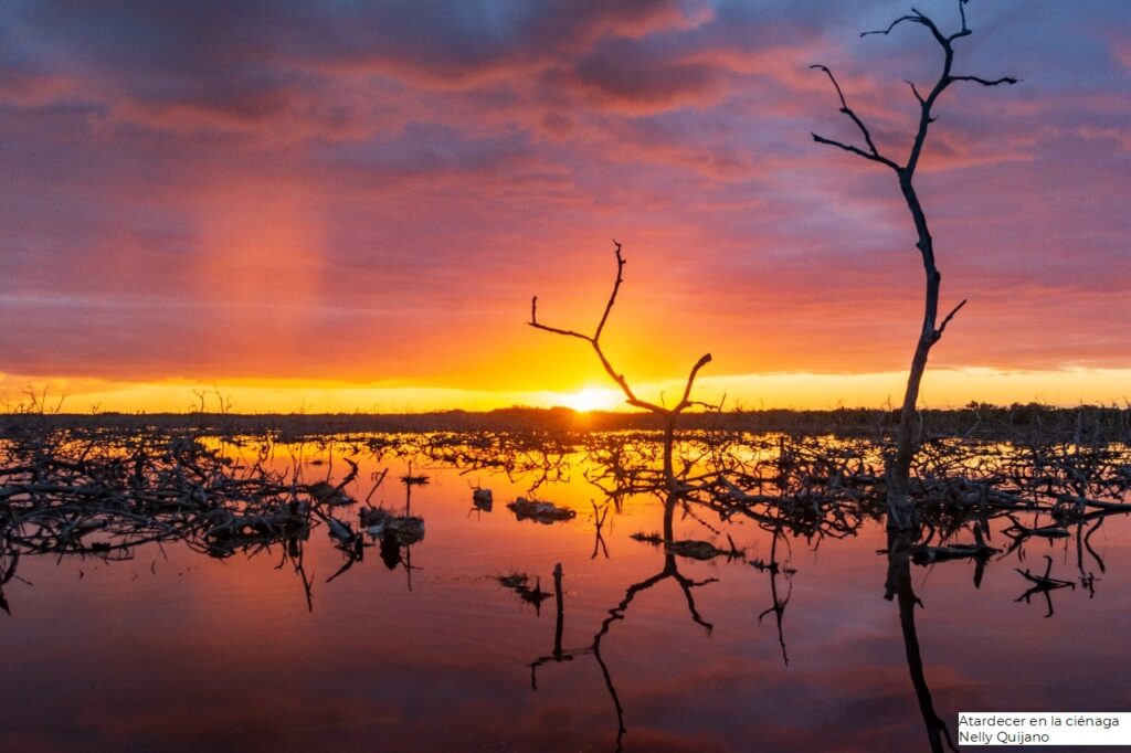 Designan nuevo Sitio Ramsar en Costa Norte de Yucatán