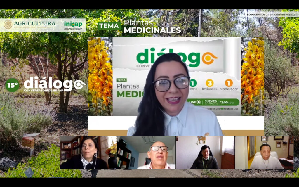 México: 2do lugar mundial en plantas medicinales