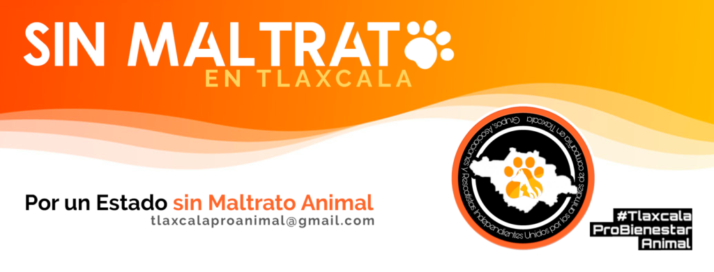 Urge tipificar como delito al  maltrato animal en Tlaxcala 