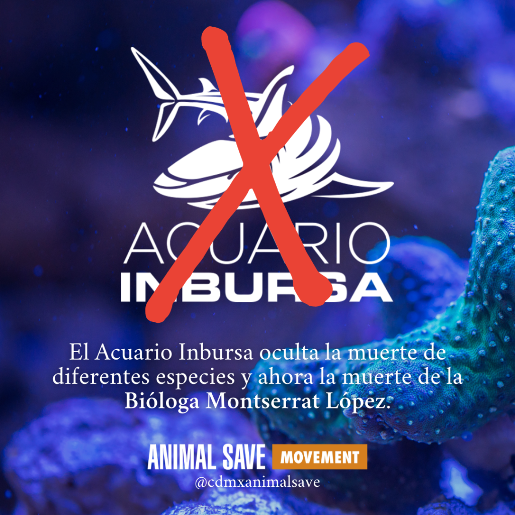 Protestarán por las muertes en el Acuario Inbursa