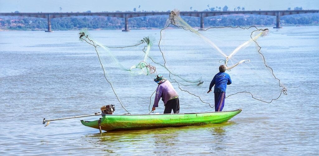 Muere el último delfín de río Mekong en Laos