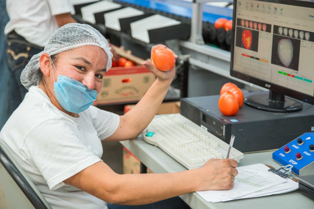 Más de 992 mil mujeres trabajan en sector primario 