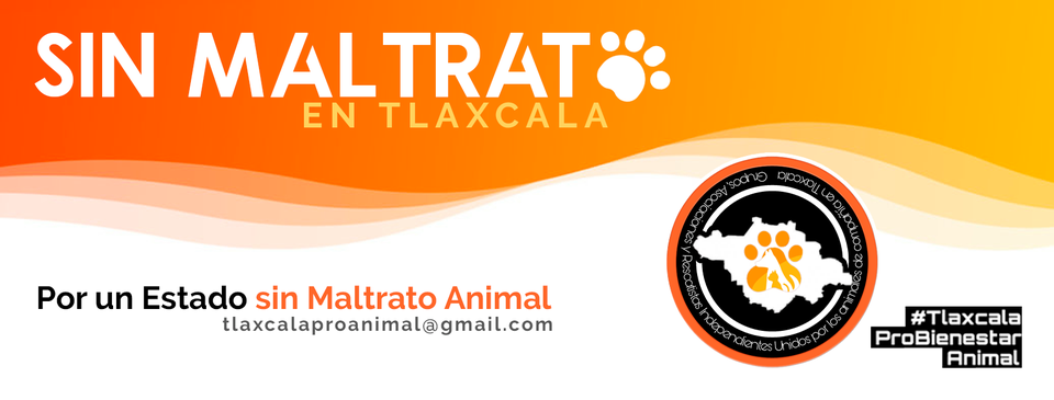 Iniciativa de protección animal en Tlaxcala es  inviable