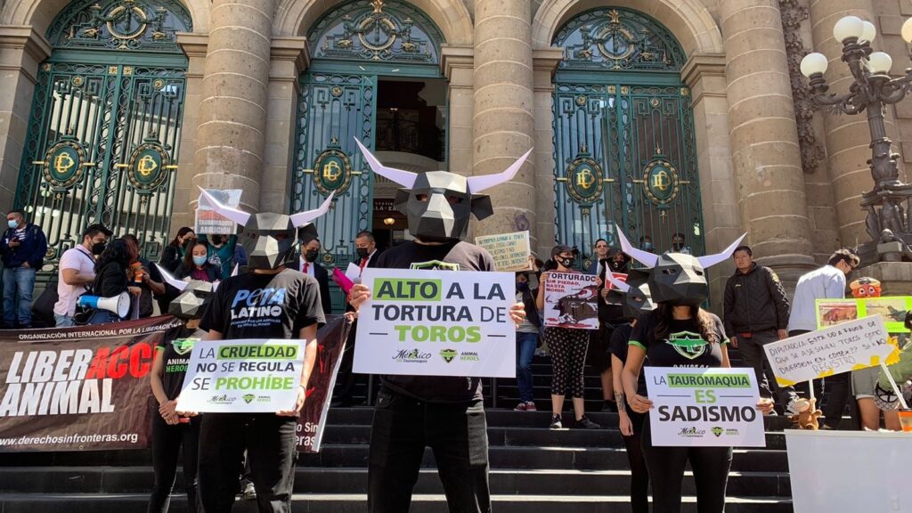 Sesma bloquea prohibición de corridas de toros: acusan 