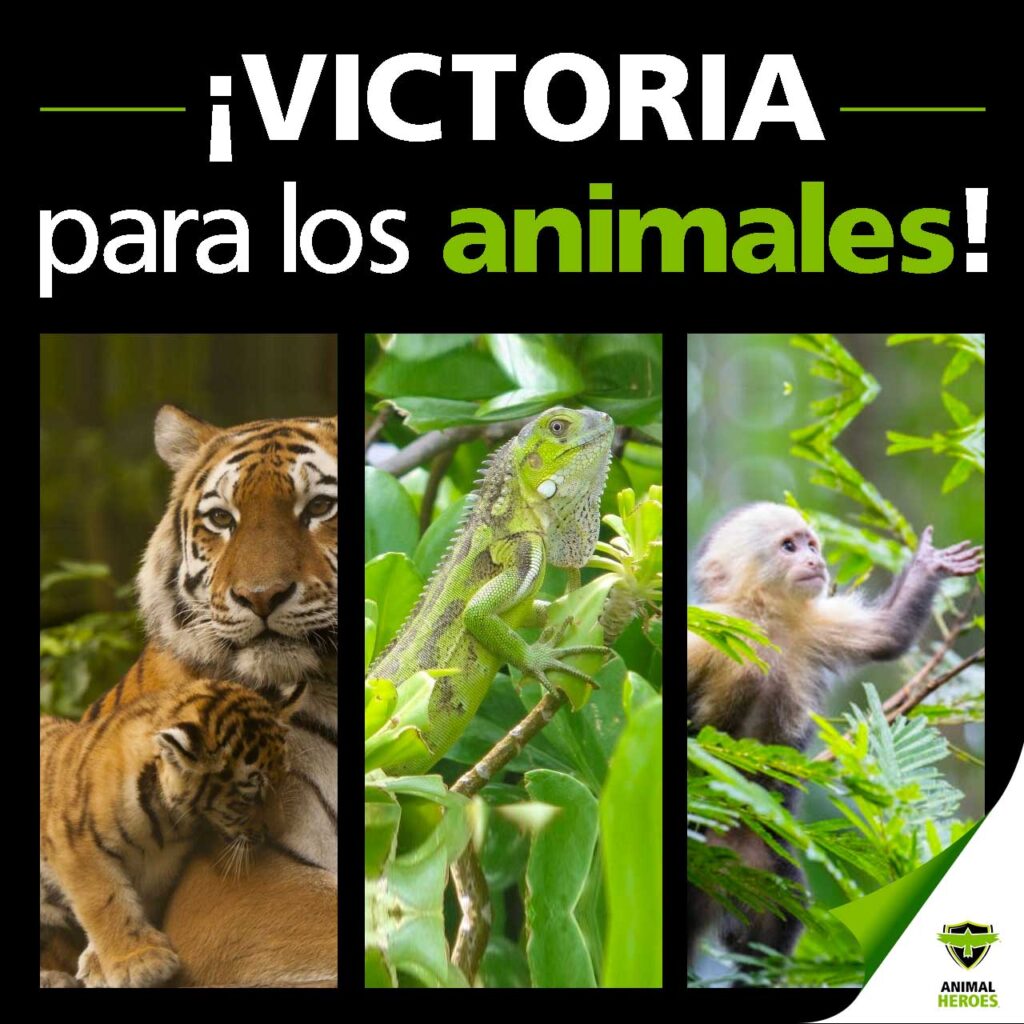 Prohíben manipulación de animales silvestres en QR