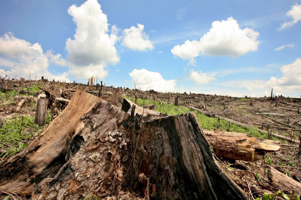 Planeación del campo para mitigar cambio climático