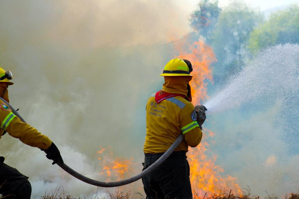 Atienden brigadistas 20 incendios forestales 