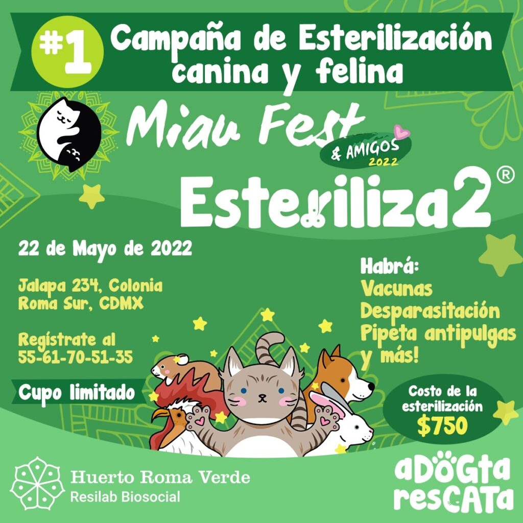 Todo listo para el Miau Fest & Amigos 21 y 22 de mayo