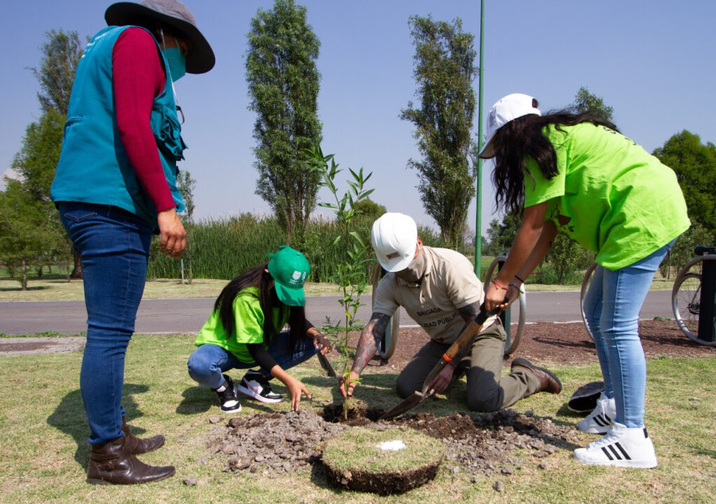 Realizan jornada de reforestación en Xochimilco