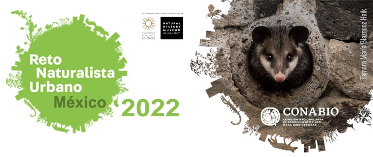 Participa en el Reto Naturalista Urbano 2022