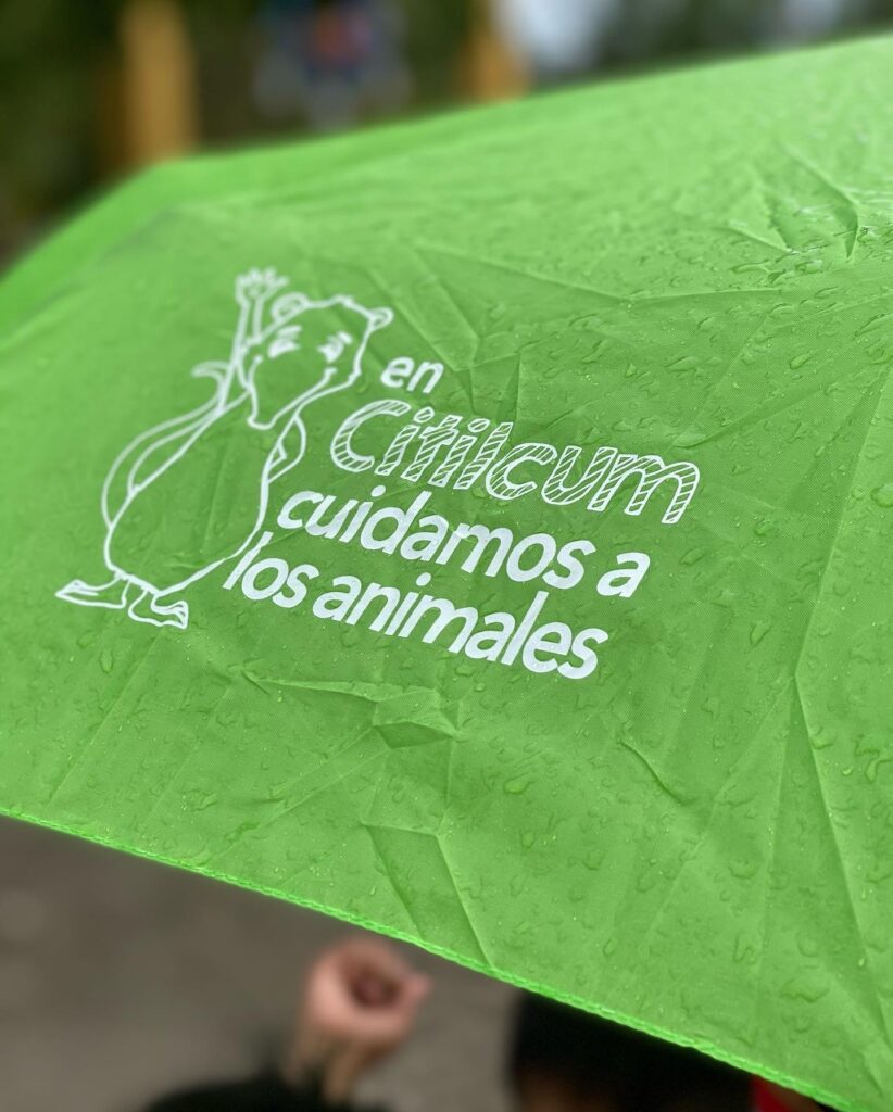 Festividad de Kots Kaal Pato en Yucatán: sin crueldad 