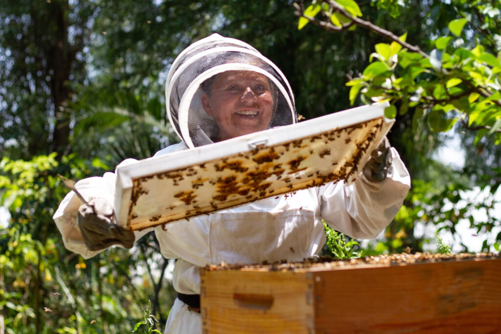 Si ven una abeja cobíjenla: apicultora