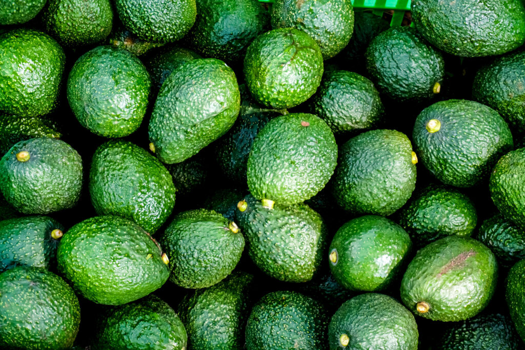 Reabre Costa Rica su mercado al aguacate mexicano