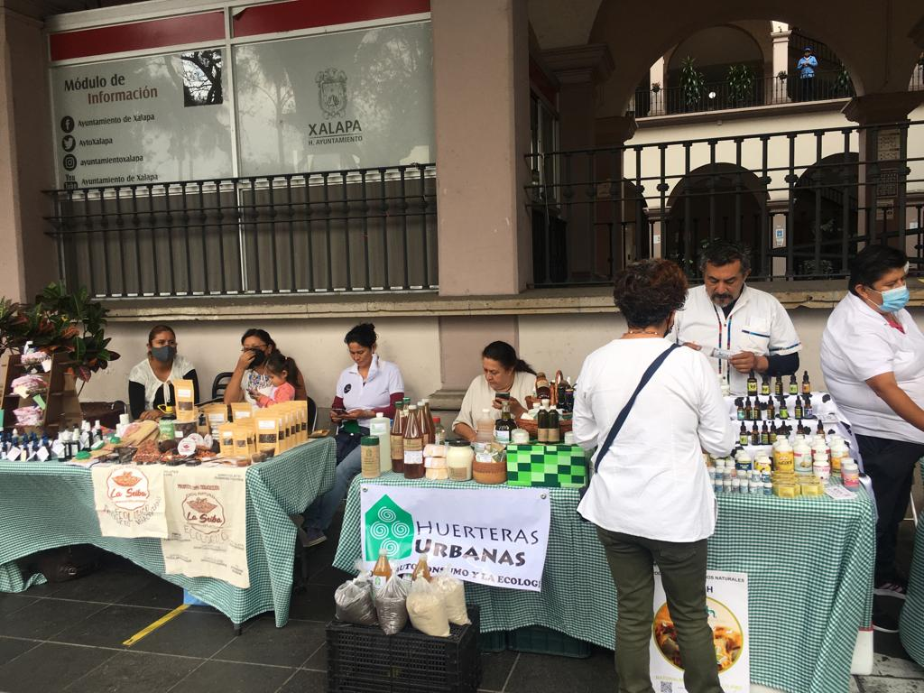 Se reactiva en Xalapa la iniciativa ecológica VerdeVer 