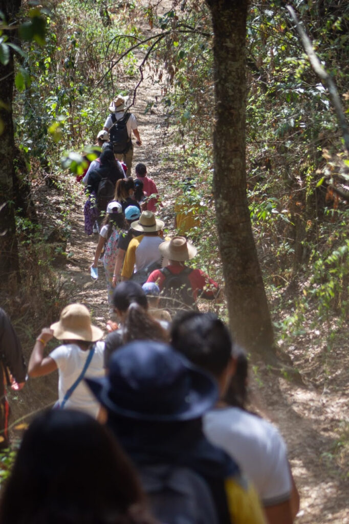 Invitan caminar por las áreas naturales protegidas 